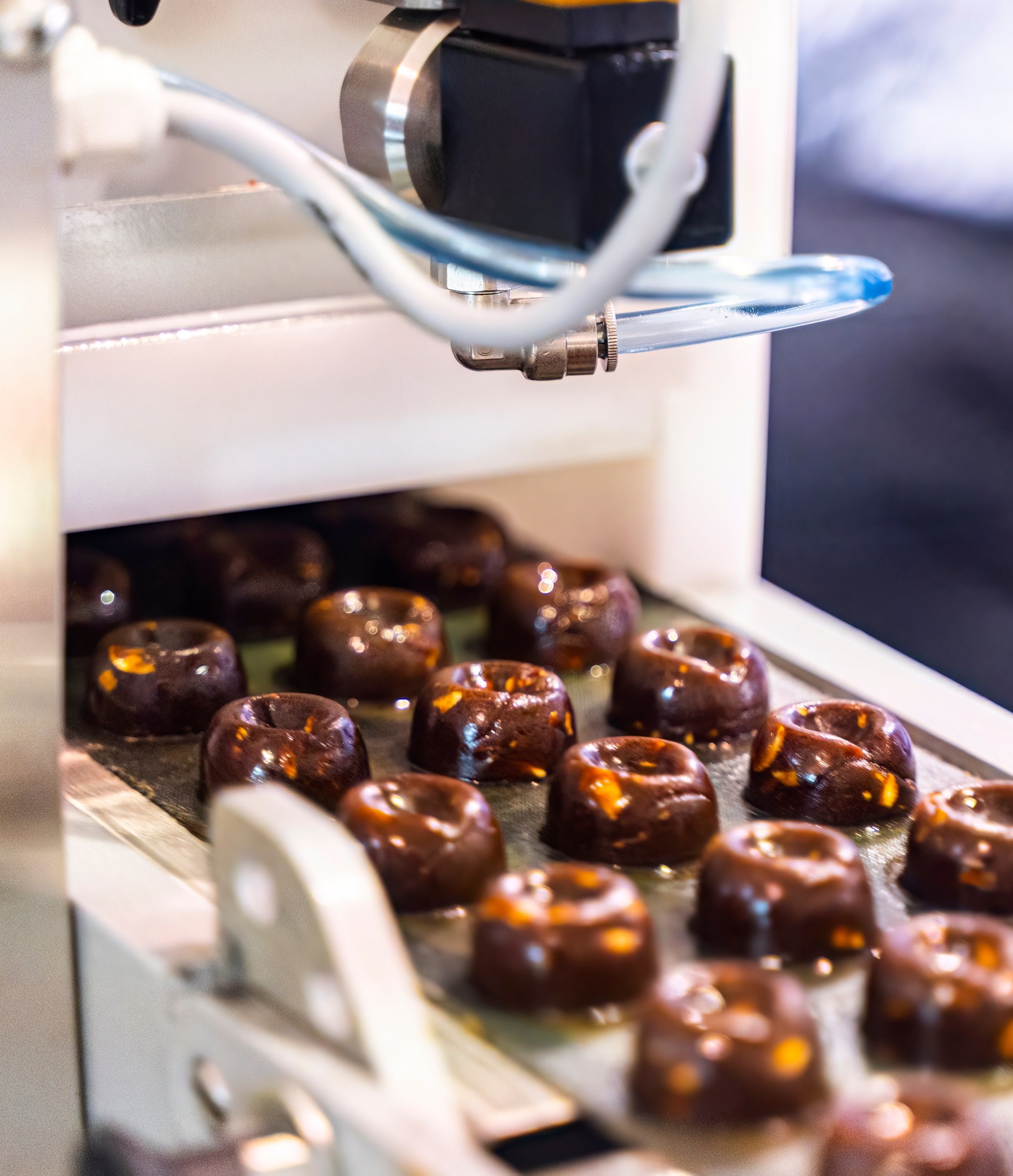 food production line